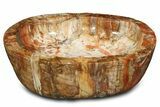 Polished Petrified Wood Bowl ( lbs) - Madagascar #317039-1